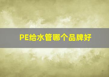 PE给水管哪个品牌好