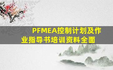 PFMEA、控制计划及作业指导书培训资料(全面) 
