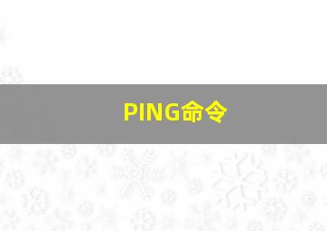PING命令