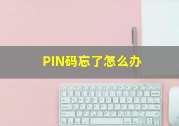 PIN码忘了怎么办(