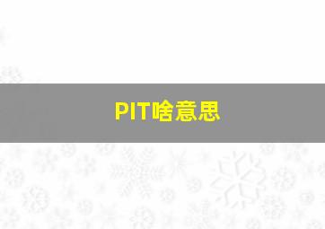 PIT啥意思