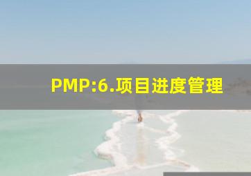 PMP:6.项目进度管理