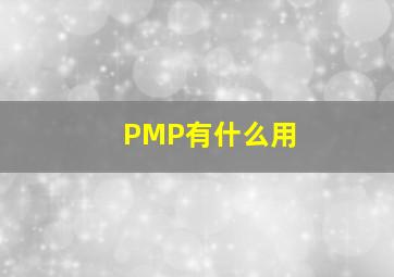 PMP有什么用(