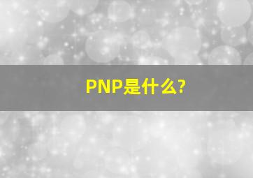 PNP是什么?