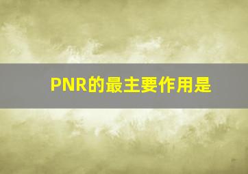 PNR的最主要作用是()