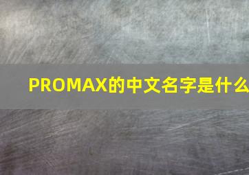 PROMAX的中文名字是什么?