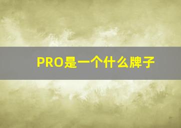 PRO是一个什么牌子(