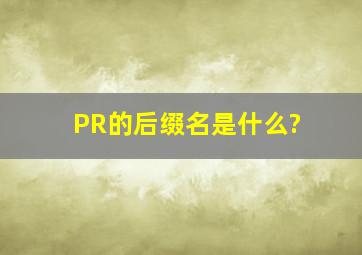 PR的后缀名是什么?