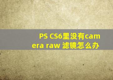 PS CS6里没有camera raw 滤镜,怎么办