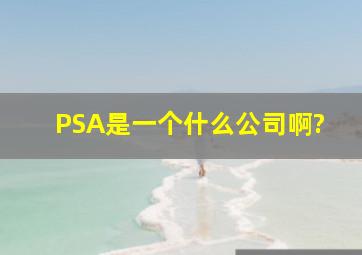 PSA是一个什么公司啊?