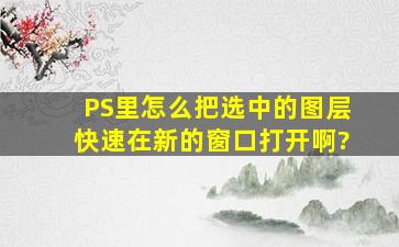 PS里怎么把选中的图层快速在新的窗口打开啊?