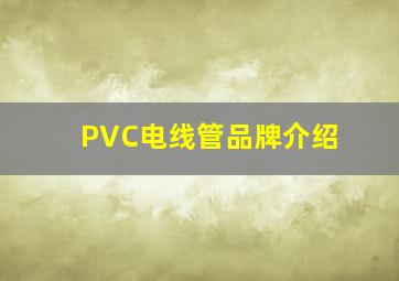 PVC电线管品牌介绍