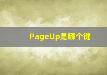 PageUp是哪个键