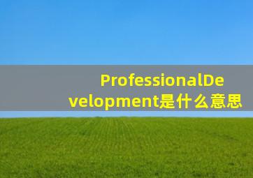 ProfessionalDevelopment是什么意思