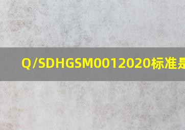 Q/SDHGSM0012020标准是什么?
