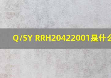 Q/SY RRH20422001是什么标准