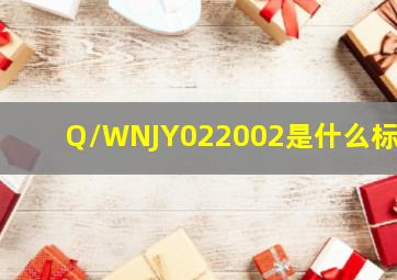 Q/WNJY022002是什么标准(