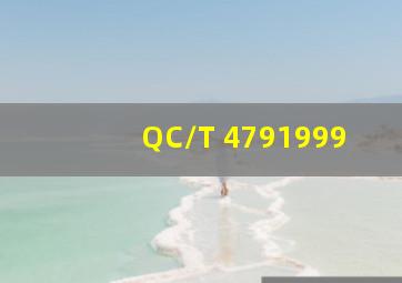 QC/T 4791999