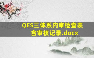 QES三体系内审检查表 含审核记录.docx