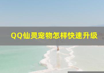 QQ仙灵宠物怎样快速升级