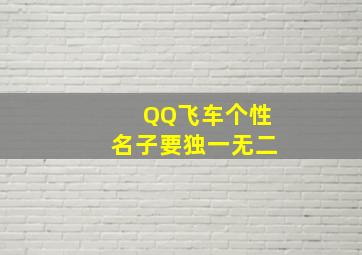 QQ飞车个性名子要独一无二