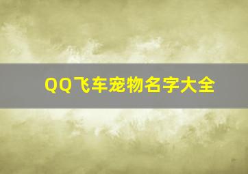 QQ飞车宠物名字大全