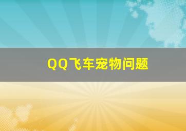 QQ飞车宠物问题