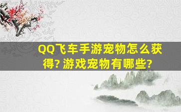 QQ飞车手游宠物怎么获得? 游戏宠物有哪些?