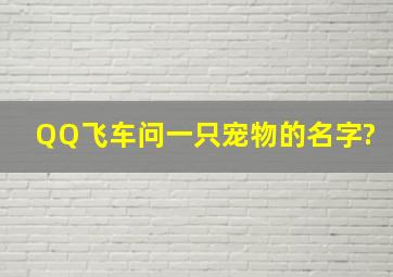 QQ飞车问一只宠物的名字?