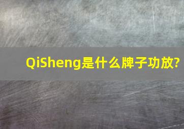 QiSheng是什么牌子功放?