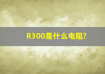 R300是什么电阻?