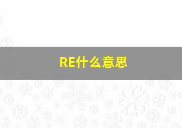 RE什么意思