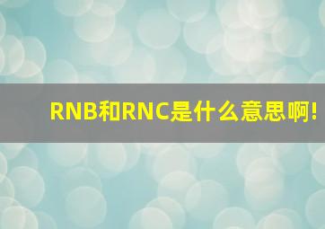 RNB和RNC是什么意思啊!