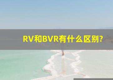 RV和BVR有什么区别?