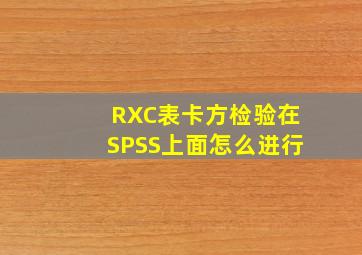 RXC表卡方检验在SPSS上面怎么进行