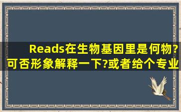 Reads在生物基因里是何物?可否形象解释一下?或者给个专业的翻译……