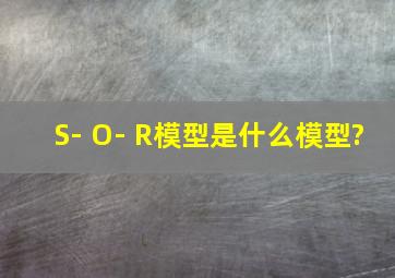 S- O- R模型是什么模型?