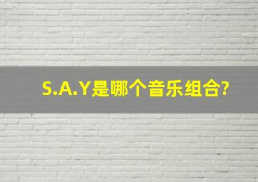 S.A.Y是哪个音乐组合?