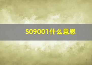 S09001什么意思