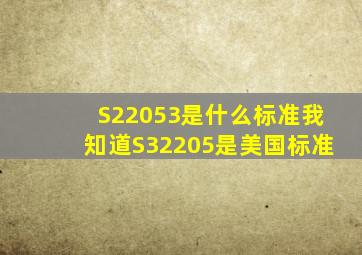 S22053是什么标准,我知道S32205是美国标准。