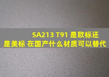 SA213 T91 是欧标还是美标 在国产什么材质可以替代