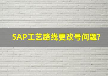 SAP工艺路线更改号问题?