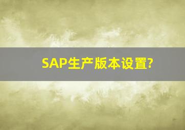 SAP生产版本设置?