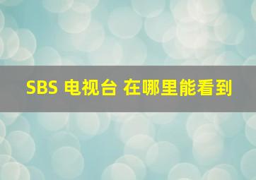 SBS 电视台 在哪里能看到