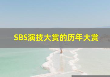 SBS演技大赏的历年大赏