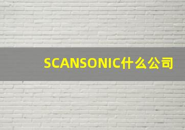 SCANSONIC什么公司(