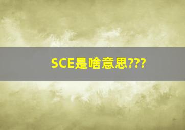 SCE是啥意思???