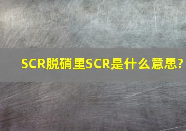 SCR脱硝里SCR是什么意思?