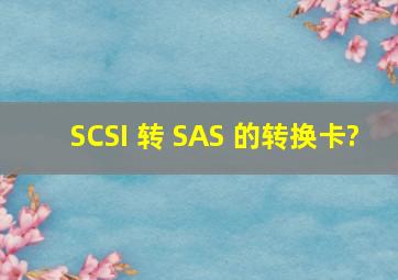 SCSI 转 SAS 的转换卡?