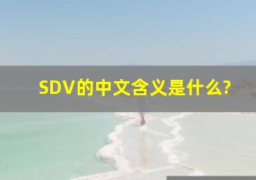 SDV的中文含义是什么?